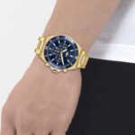 photoroom_000_20241024_221816