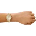 ar11608-emporio-armani-watch-women-crystals-silver-dial-metal-stainless-steel-gold-strap-quartz-analog-gianni-t-bar