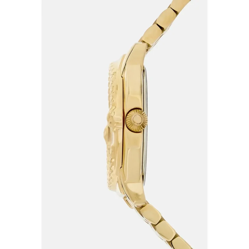 ⁦ساعة روبرتو كفالي Roberto Cavalli للنساء RV1L225M0051⁩ - الصورة ⁦4⁩